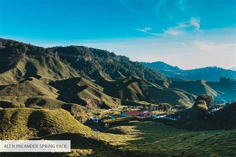alen palander presets free|Spring Pack .